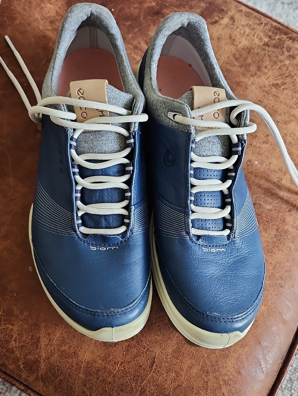 ECCO Biom Hybrid GTX Leather Sneaker/Gold Shoes